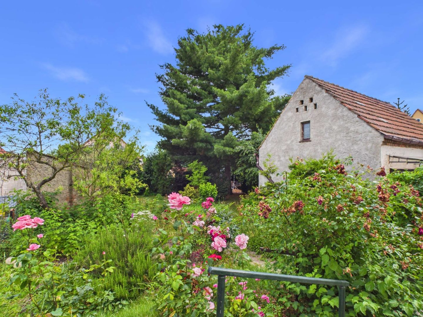 Blick in den Garten