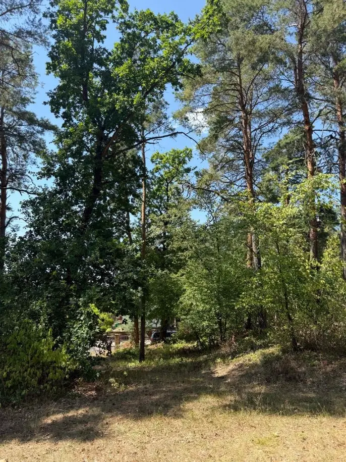 Grundstück Waldstraße