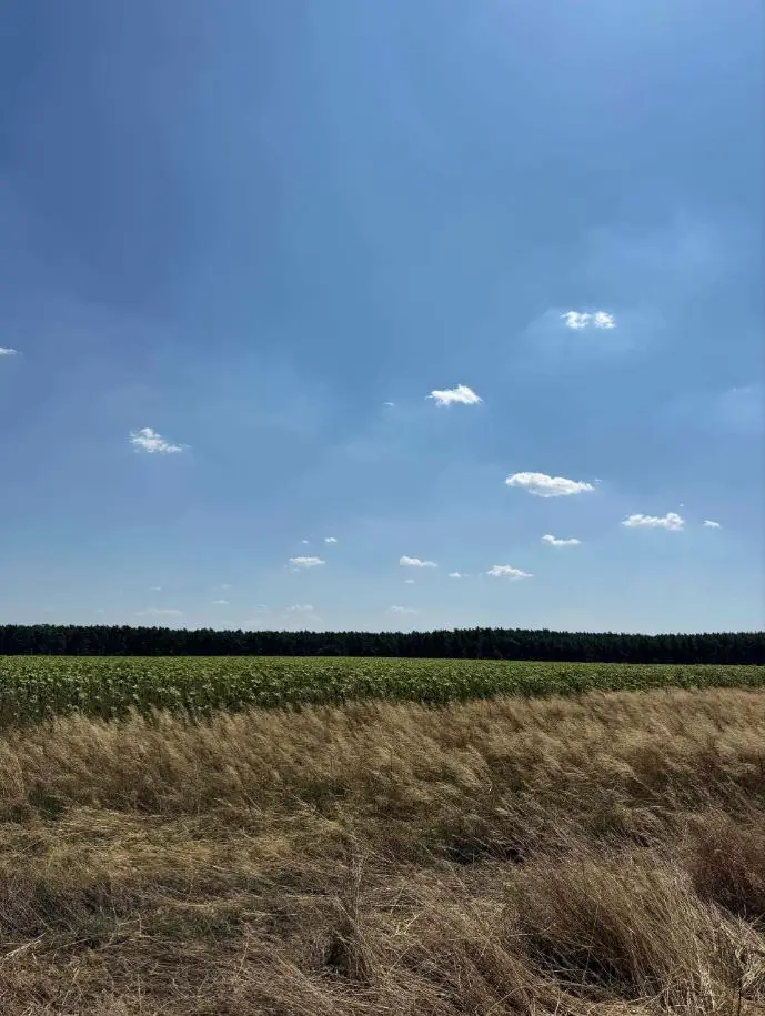 Ausblick Grundstück Waldstraße